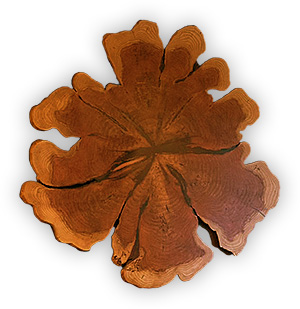 Live Edge Slab Wall Art