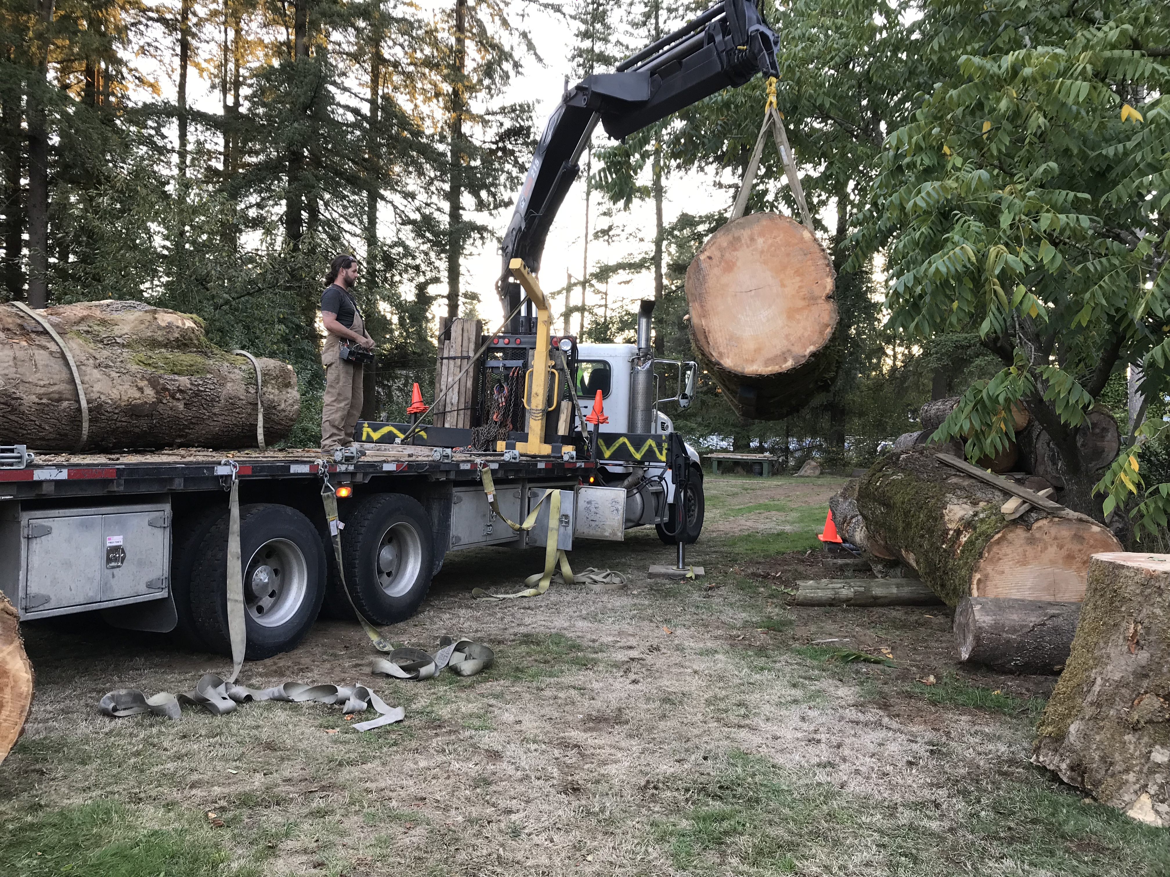 Urban log recovery
