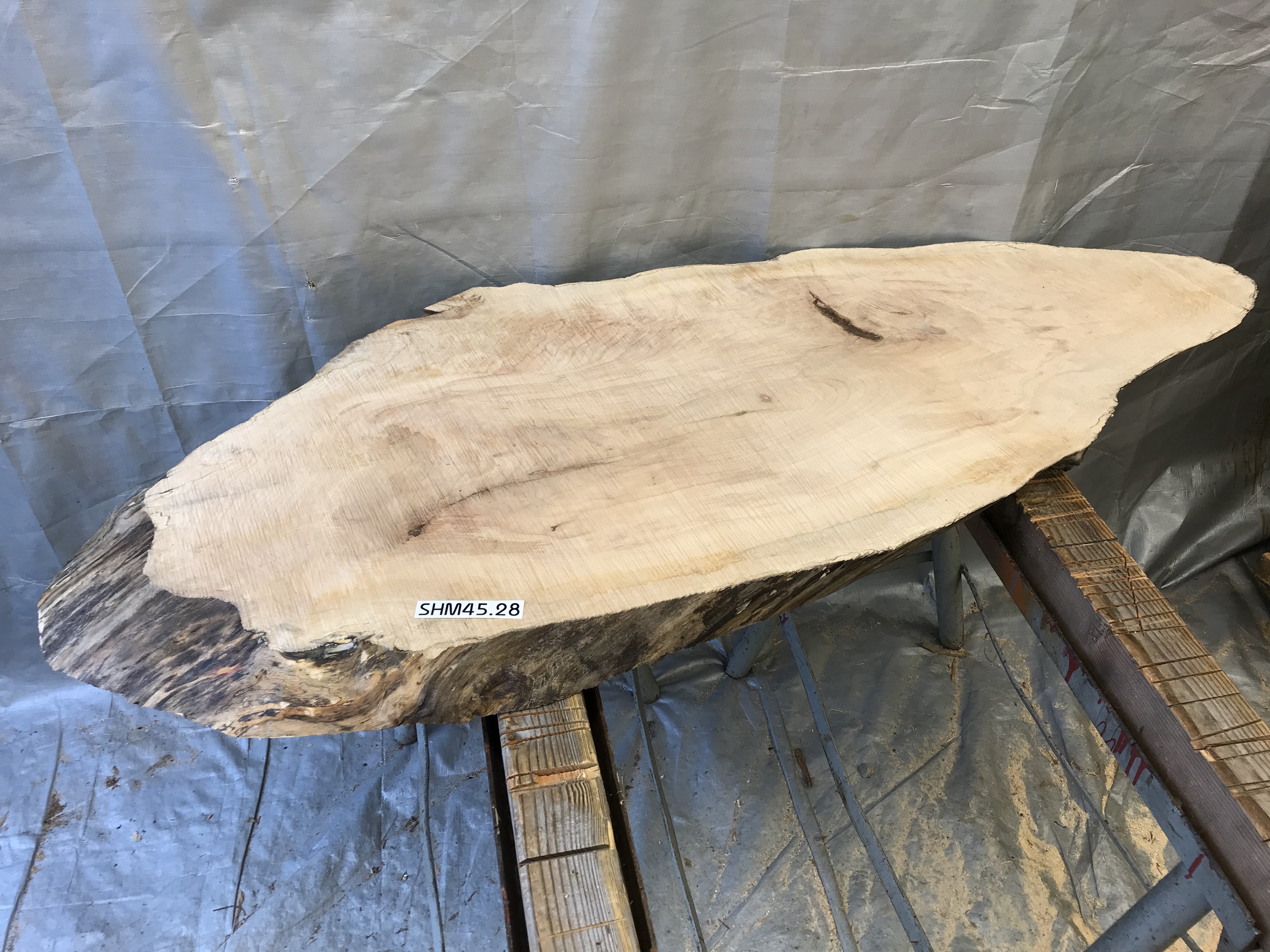 Maple 45 degree crosscut 